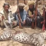 Villagers in Dera Bugti, Balochistan, Kill Rare Leopard