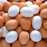 Chinese Eggs Arrive in Pakistani Markets