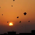 Punjab Makes Kite Flying a Non-Bailable Crime