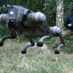 Ukraine to Deploy Robot Dogs for Frontline Defense