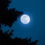 When to Catch the Super Blue Moon in Pakistan