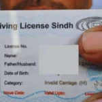 Sindh Expands International Driving License Service to 11 Branches