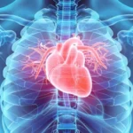 8% of Deaths in Pakistan Linked to Cardiovascular Diseases